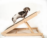 Portable Dog Ramp